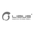 Libus